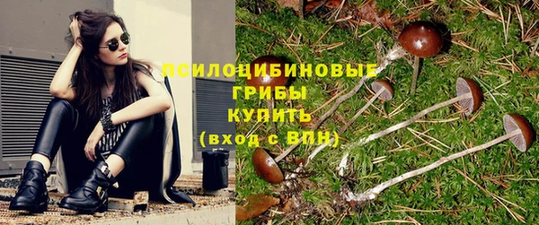 ECSTASY Кодинск